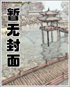 双止逆阀二进一出